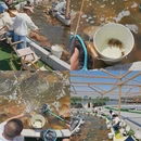唐山旅游 缩略图 13