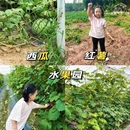 深圳旅游 缩略图 10