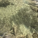 杭州旅游 缩略图 5