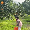 重庆旅游 缩略图 4
