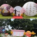深圳旅游 缩略图 7