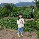 伊犁旅游 缩略图 4