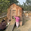 重庆旅游 缩略图 6