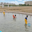 天津旅游 缩略图 7