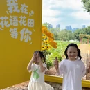 深圳旅游 缩略图 9