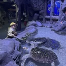 舟山旅游 缩略图 11