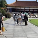 南京旅游 缩略图 4