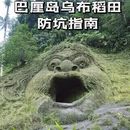 登巴萨旅游 缩略图 6