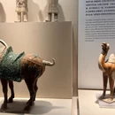 南京旅游 缩略图 15