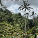 登巴萨旅游 缩略图 3