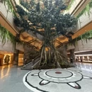 上海旅游 缩略图 1