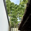 苏州旅游 缩略图 6