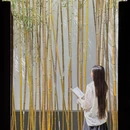 苏州旅游 缩略图 10