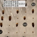 上海旅游 缩略图 4