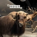 上海旅游 缩略图 2
