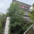 宜昌旅游 缩略图 4