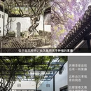 苏州旅游 缩略图 13