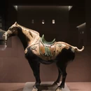 洛阳旅游 缩略图 4
