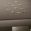 上海旅游 缩略图 15