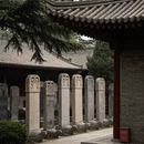 西安旅游 缩略图 6