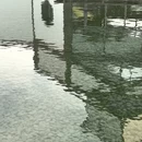 苏州旅游 缩略图 11