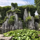 苏州旅游 缩略图 4