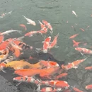 苏州旅游 缩略图 12