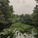 苏州旅游 缩略图 7
