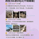 西安旅游 缩略图 8