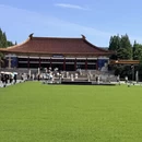 南京旅游 缩略图 12