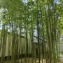 苏州旅游 缩略图 5