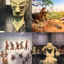 成都旅游 缩略图 1