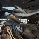 上海旅游 缩略图 1