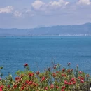三亚旅游 缩略图 14