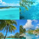 深圳旅游 缩略图 4