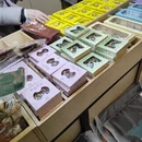南京旅游 缩略图 7