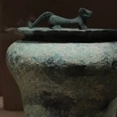深圳旅游 缩略图 10