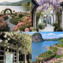 南京旅游 缩略图 5