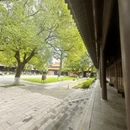 南京旅游 缩略图 7