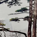 南京旅游 缩略图 10
