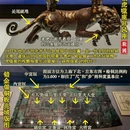 石家庄旅游 缩略图 7