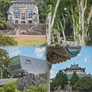 武汉旅游 缩略图 3