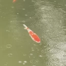 苏州旅游 缩略图 11