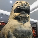 西安旅游 缩略图 8
