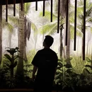深圳旅游 缩略图 7