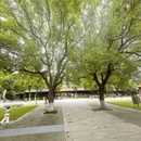 南京旅游 缩略图 6
