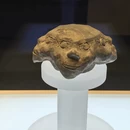 石家庄旅游 缩略图 3