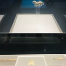 西安旅游 缩略图 6