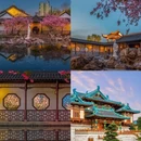 南京旅游 缩略图 6