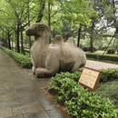 南京旅游 缩略图 9